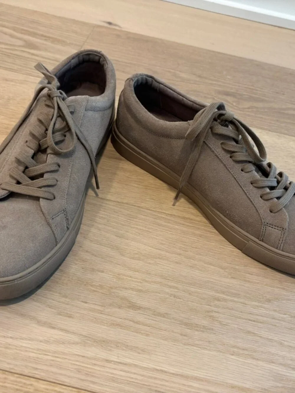 Mens Rodd & Gunn Sneakers